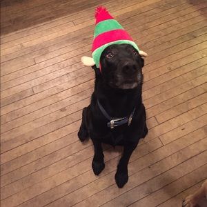 Meet your Posher, Jillian